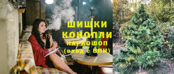эйфоретик Бородино