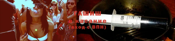 эйфоретик Бородино