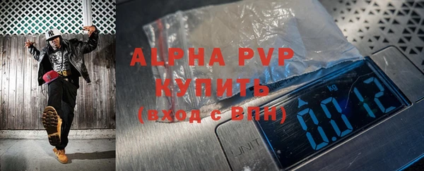 эйфоретик Бородино