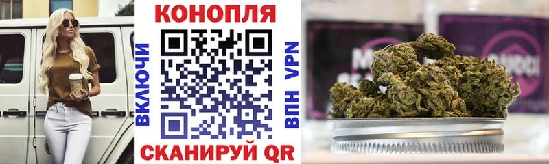 Бошки Шишки VHQ Приволжский